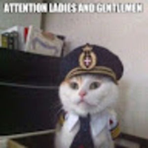 Meet your Posher, Ashton